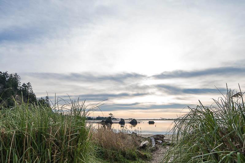 Birds Nest Suite Lincoln City Exteriér fotografie